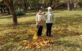 изображение_viber_2025-10-29_14-50-36-993